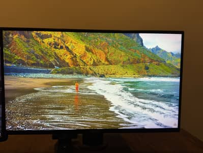 ASUS TUF GAMING VG259QM | *280Hz* GAMING MONITOR | IPS | 1 ms Response