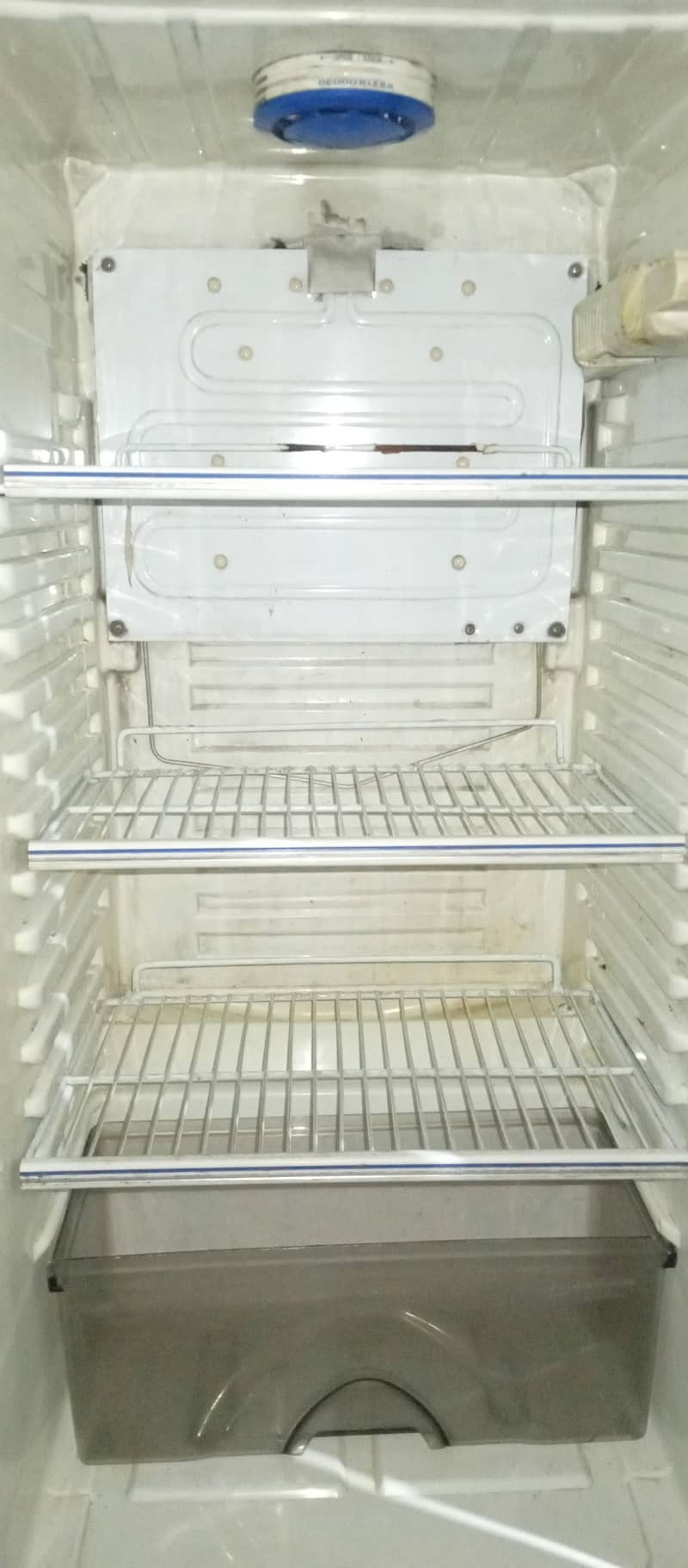 Fridge 2