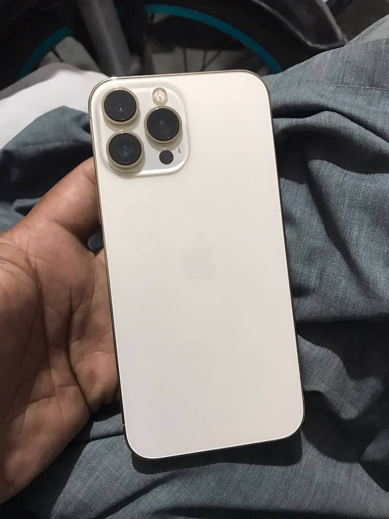 Apple iPhone 13 Pro Max 2