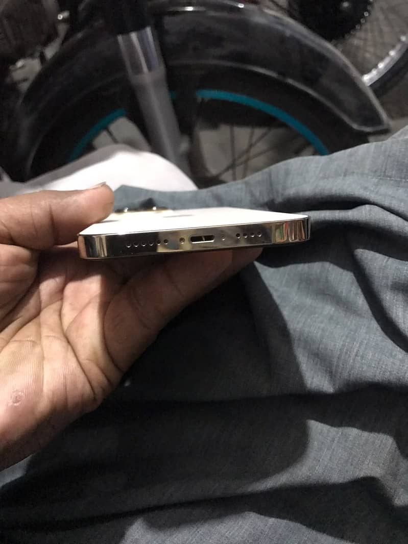 Apple iPhone 13 Pro Max 4