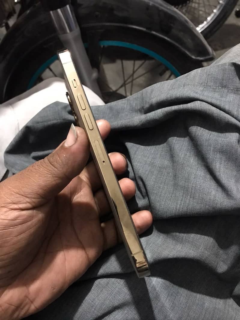 Apple iPhone 13 Pro Max 5
