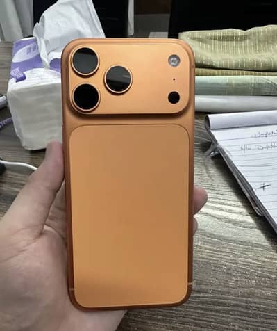 17 pro max FU 256