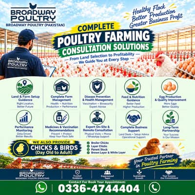 Start Poultry Farming Business | Farm Chick Chicken Broiler Layer Hens