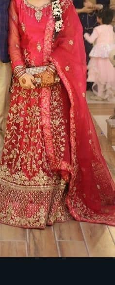 choli plus lenga and maxi