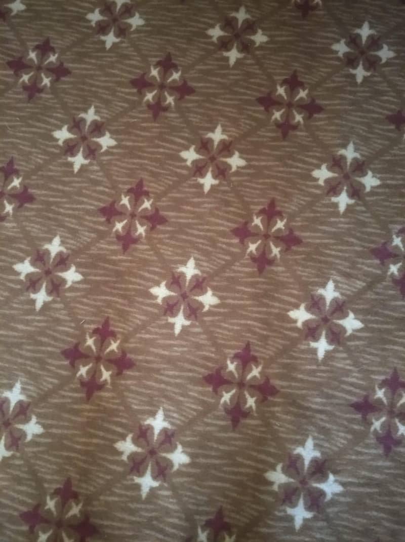 carpet 0