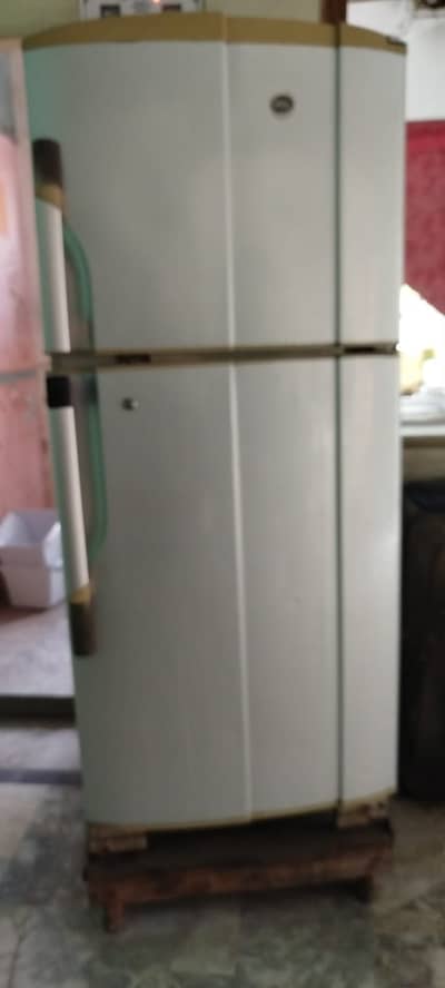 PEL Large Size Single Door Refrigerator,