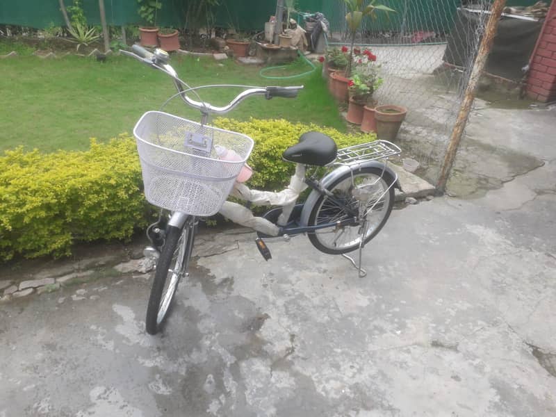 Branded Bicycle 2