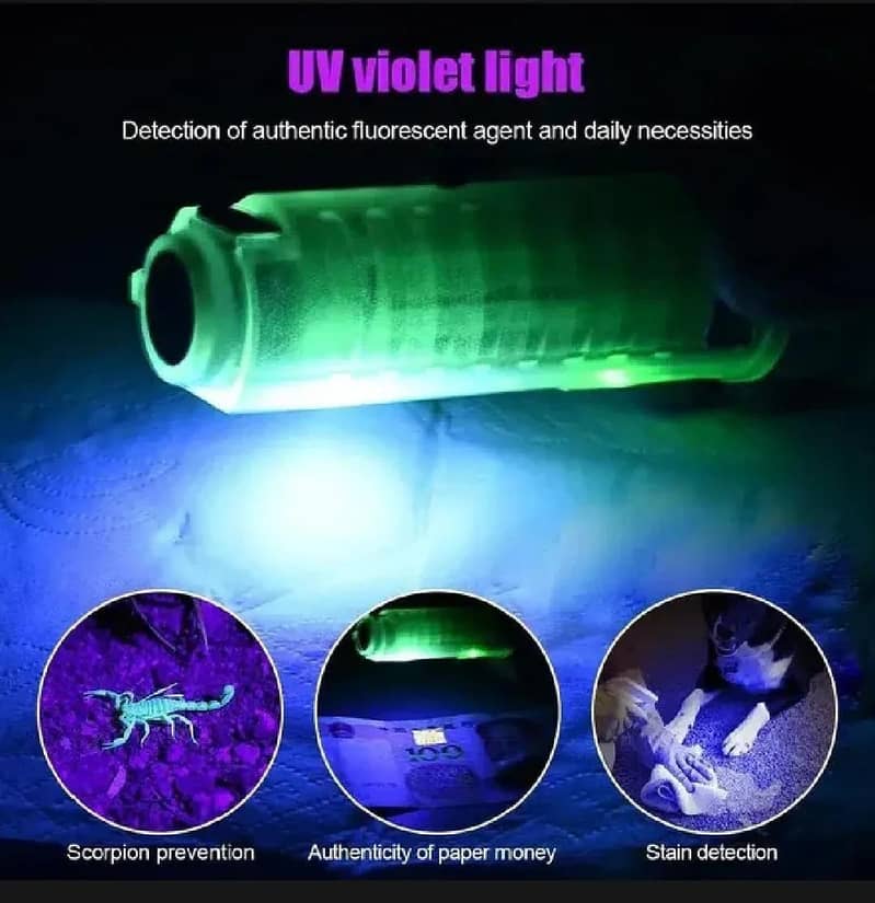 Compact EDC Flashlight with UV Light 2