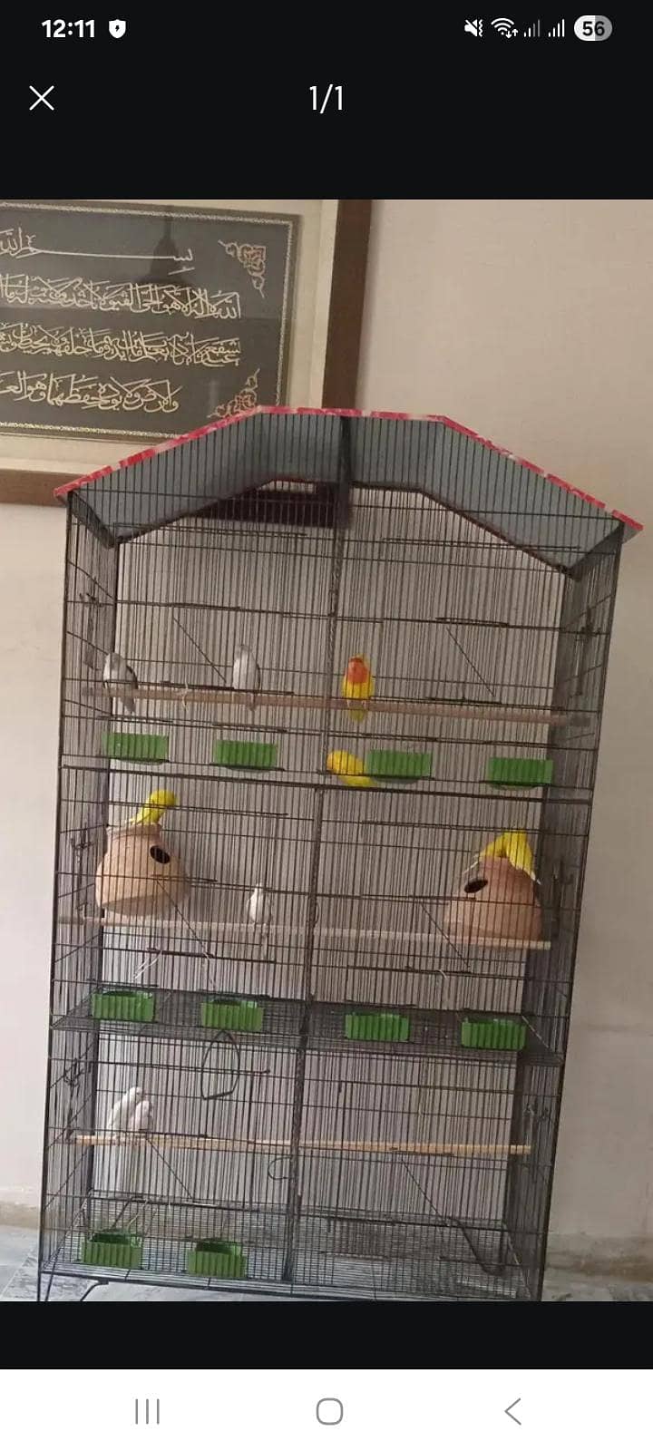 Six Portion Solid Cage 0