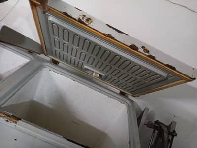 deep freezer