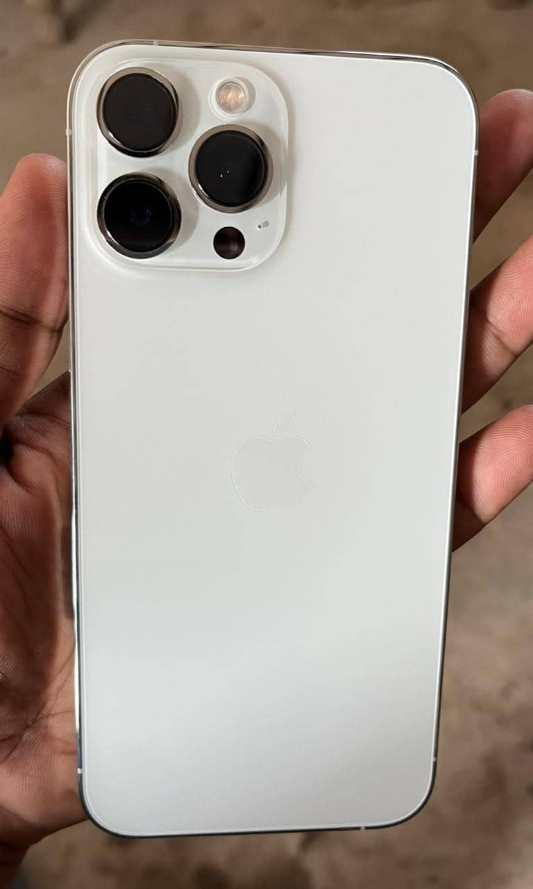Apple iPhone 13 Pro Max 1