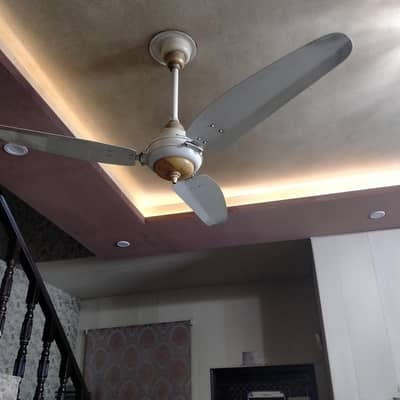 Royal fan available for sale