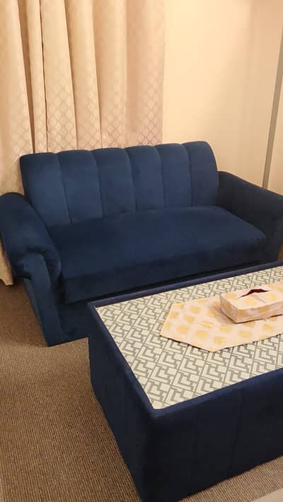 Sofa / bean bag / Table