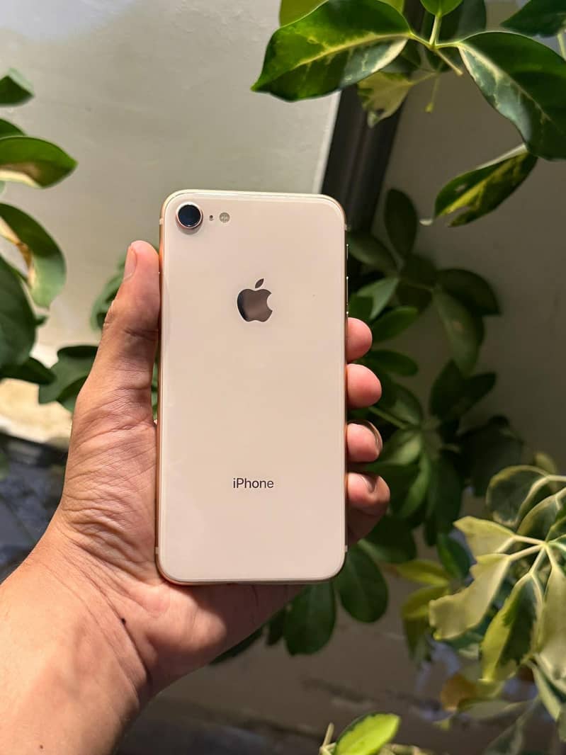 Apple iPhone 8 1