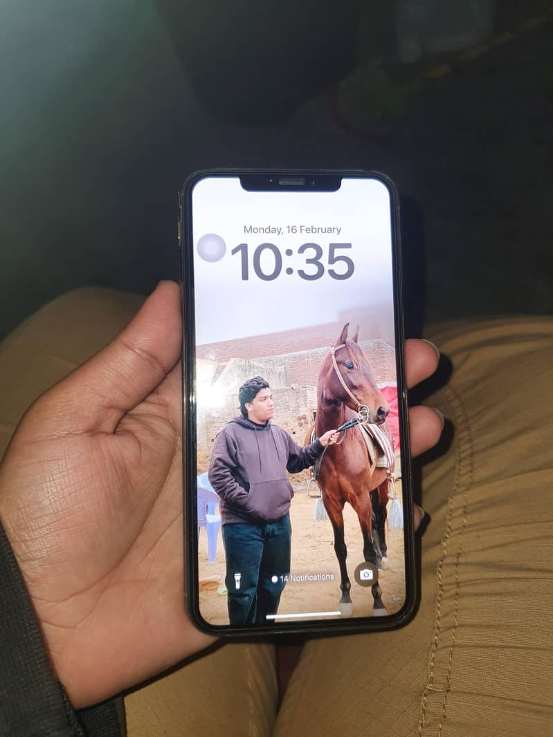 Apple iPhone XS Max 1