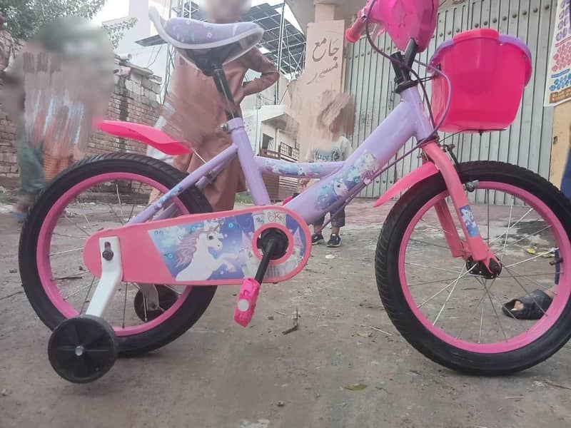 barbie cycle 0