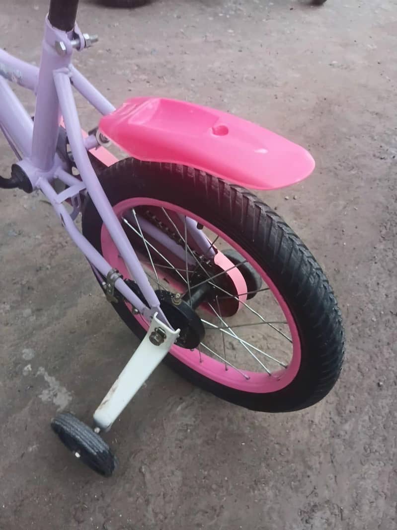 barbie cycle 1