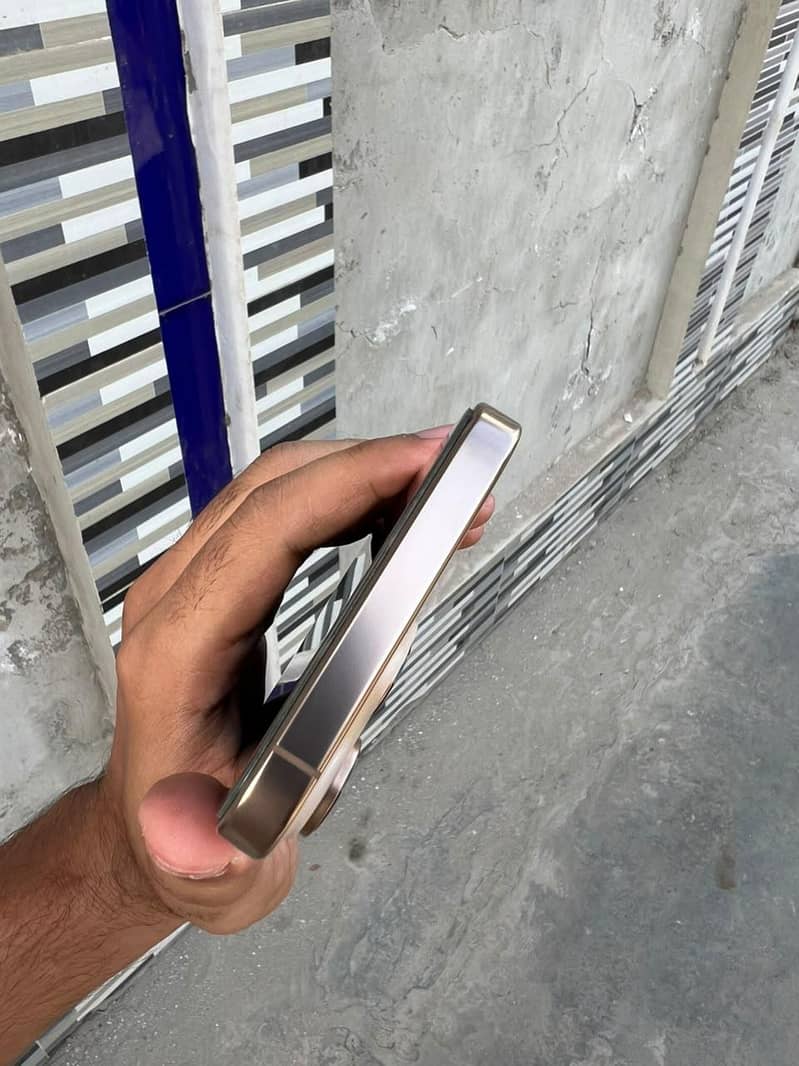 Apple iPhone 16 Pro Max 2