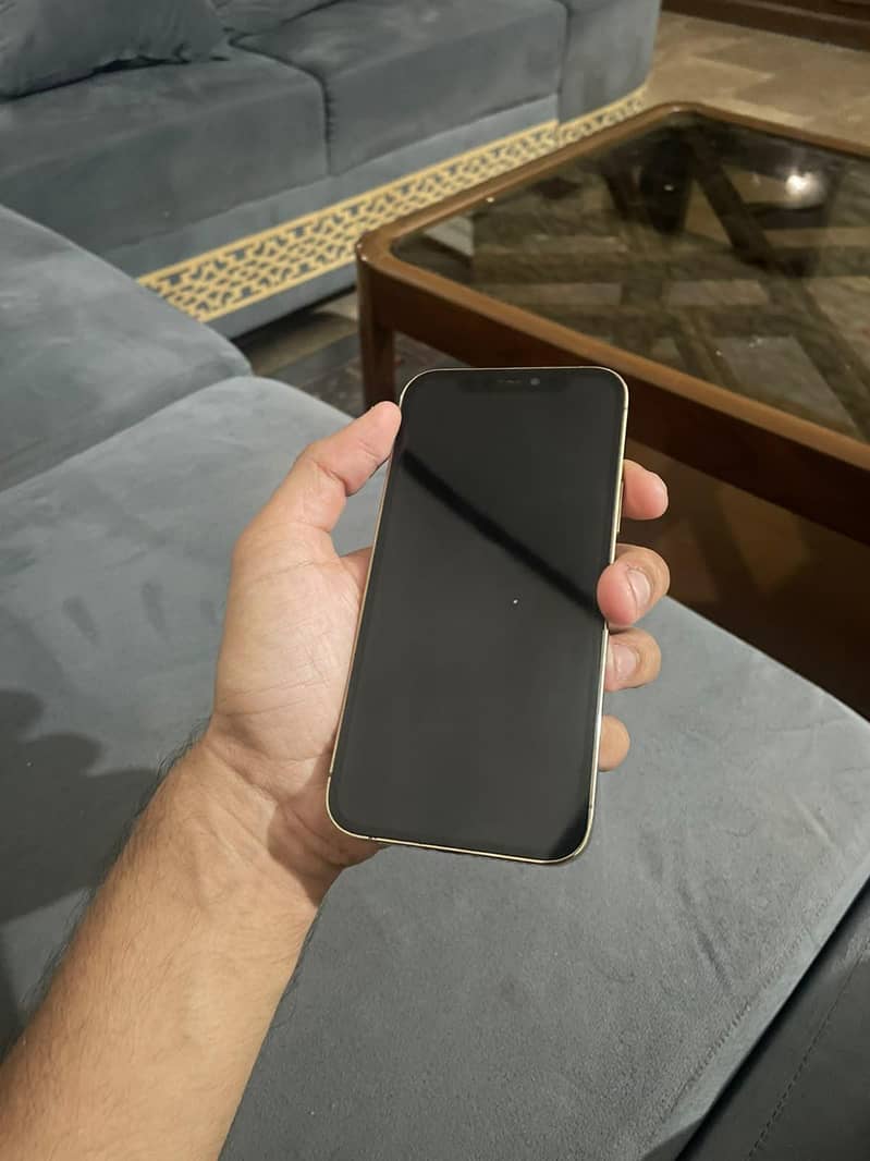 Apple iPhone 12 3