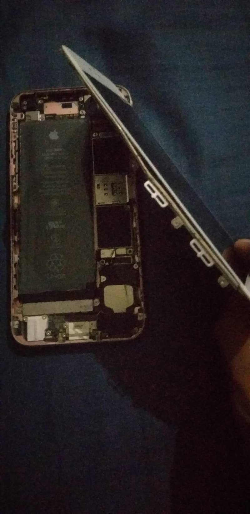 Apple iPhone 6S 1
