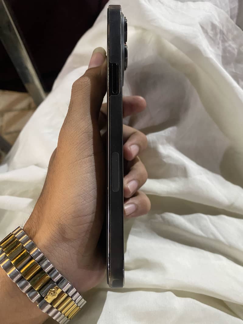 Apple iPhone 13 Pro Max 3