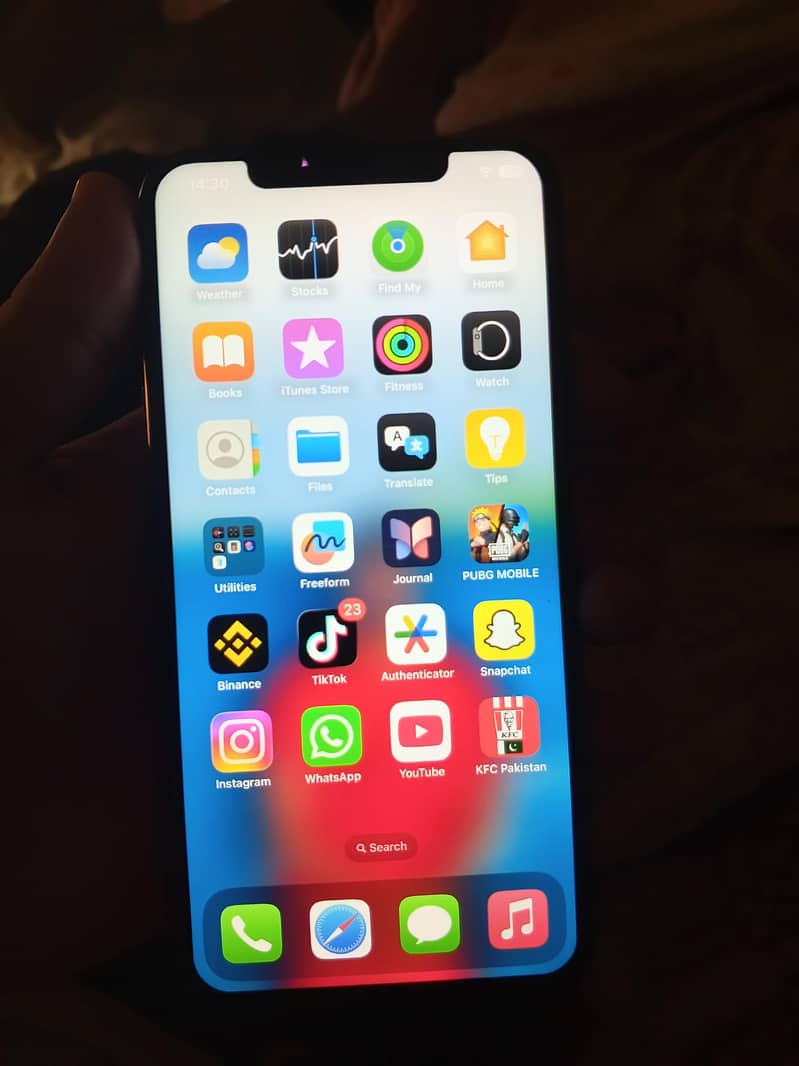Apple iPhone XS Max 4