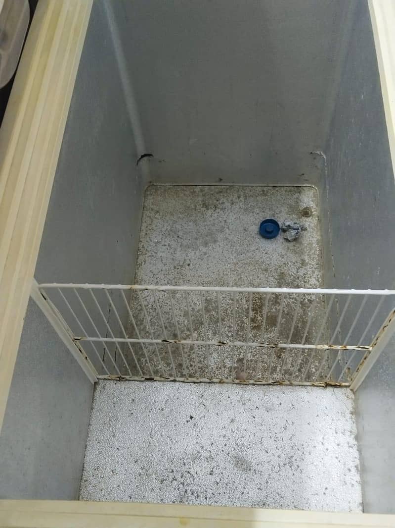 D Freezer Single door 7