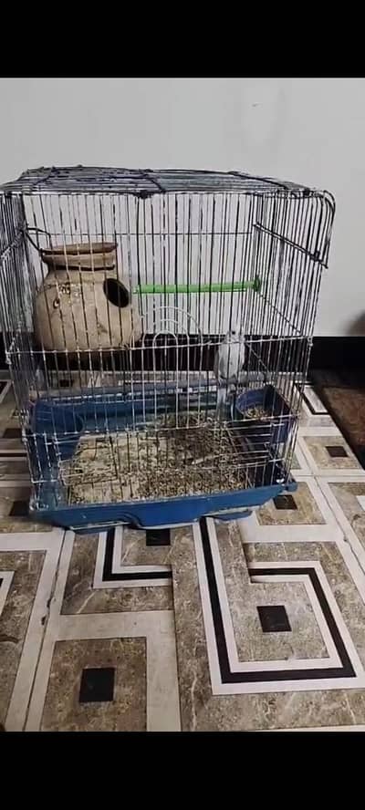 bajari cage