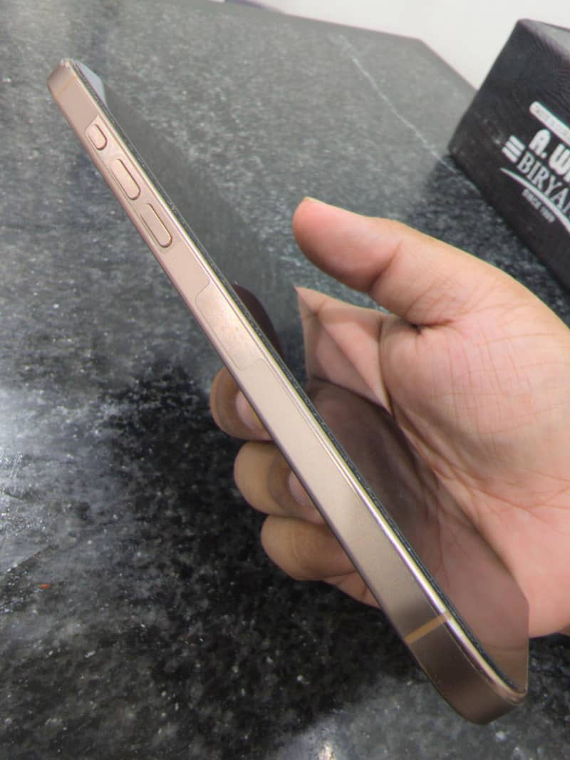 Apple iPhone 16 Pro Max 10