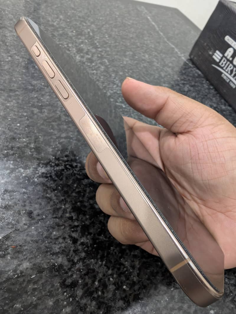 Apple iPhone 16 Pro Max 11