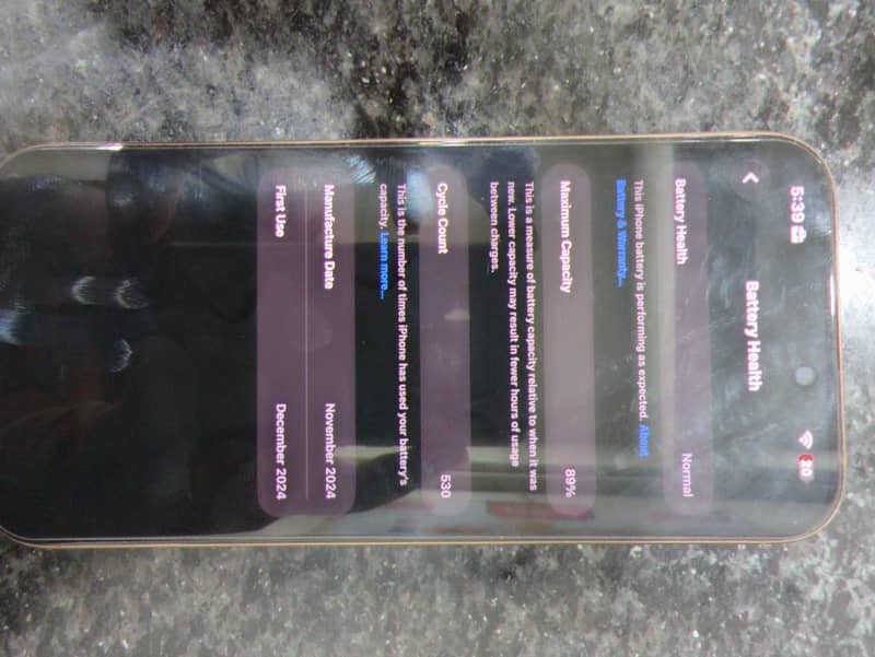 Apple iPhone 16 Pro Max 18