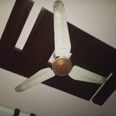 fans for sell