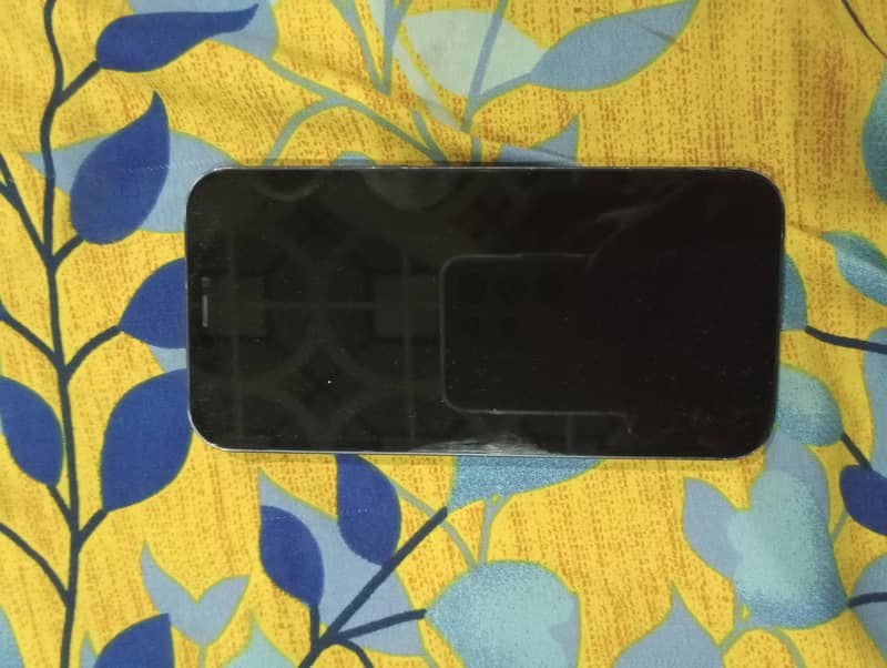 Apple iPhone 12 0