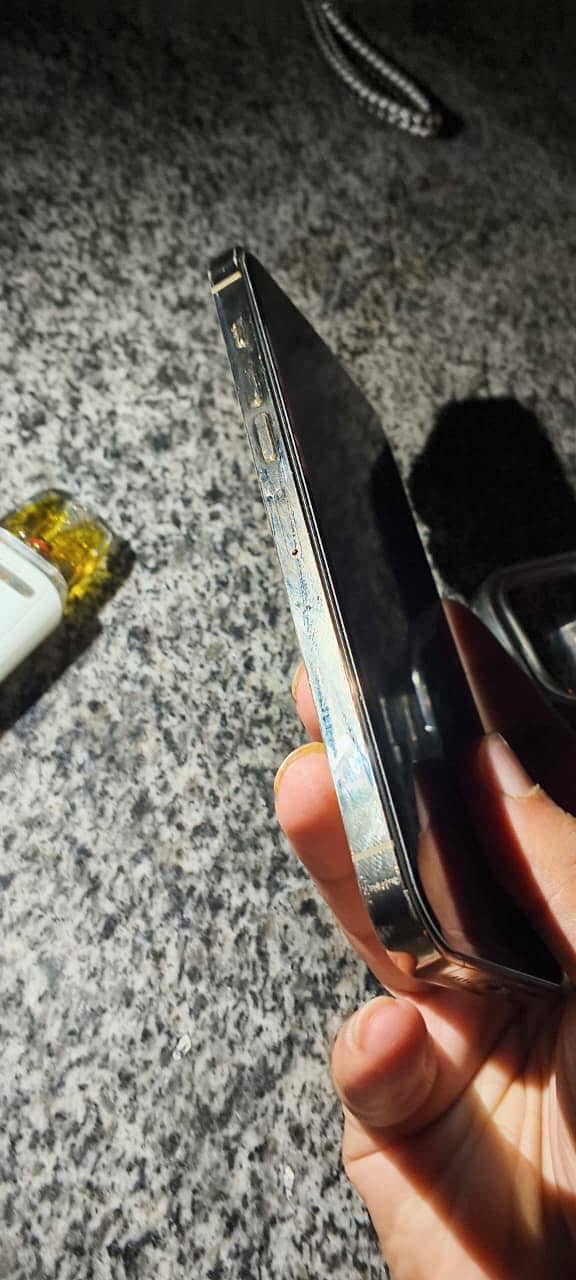 Apple iPhone 13 Pro Max 2