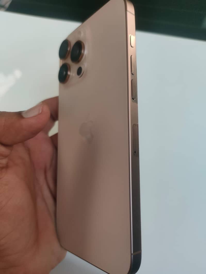 Apple iPhone 16 Pro Max 15