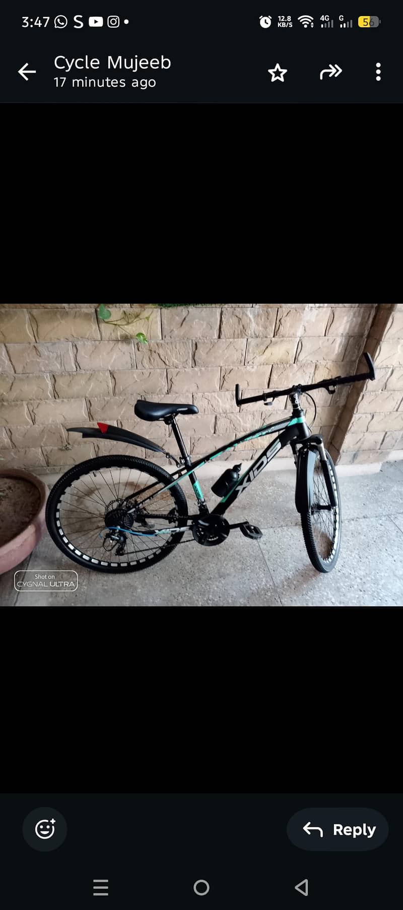 xids bicycle 0