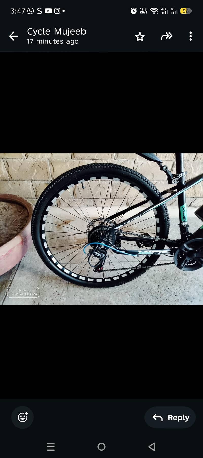 xids bicycle 1