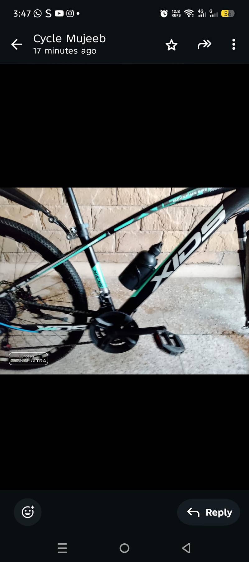 xids bicycle 2