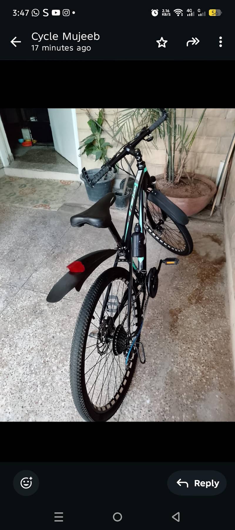 xids bicycle 3