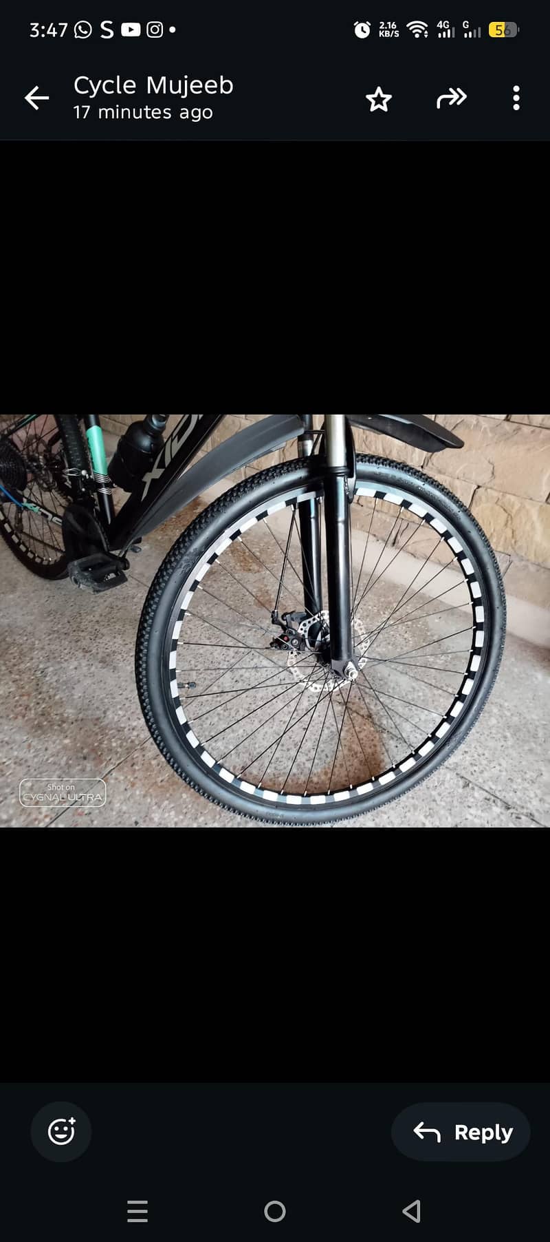 xids bicycle 4