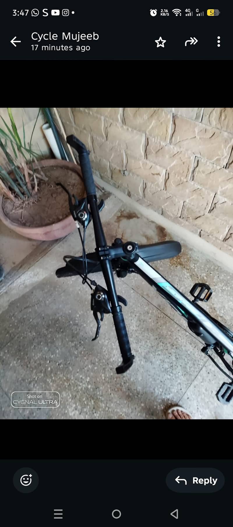 xids bicycle 5