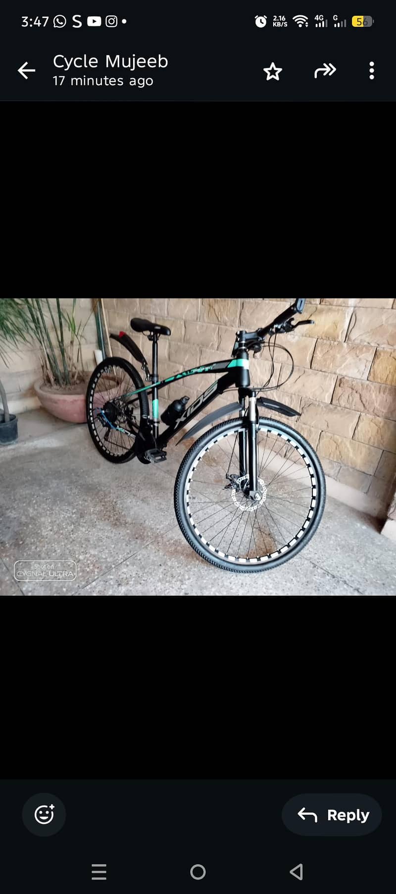 xids bicycle 6