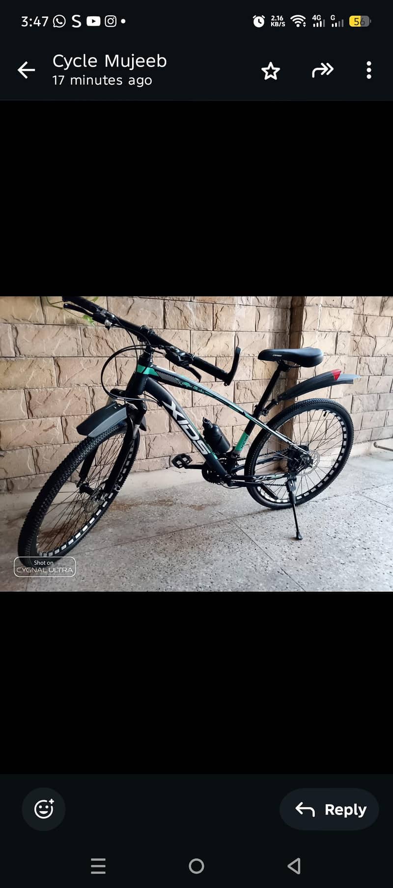 xids bicycle 7