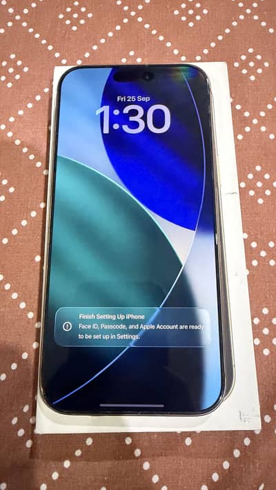 Apple iPhone 16 Pro Max