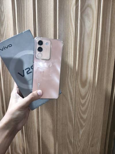 Vivo 03(2441)60(922)