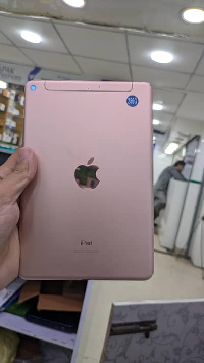 Apple ipad mini 5 Factory unlocked 256GB cellular