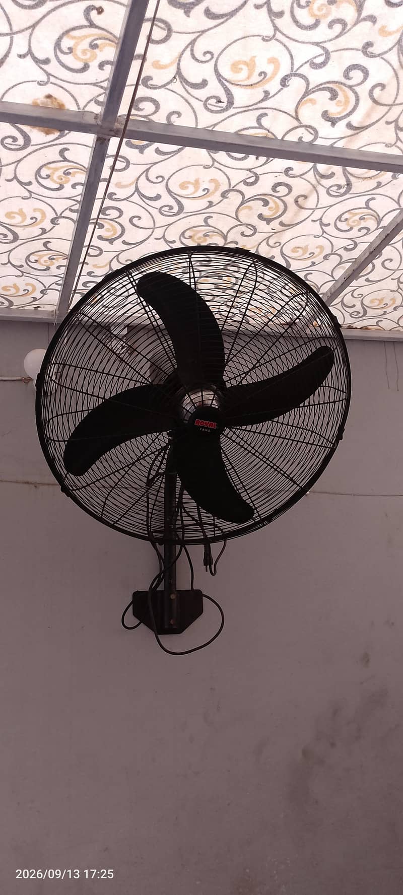 Royal bracket fan. 0
