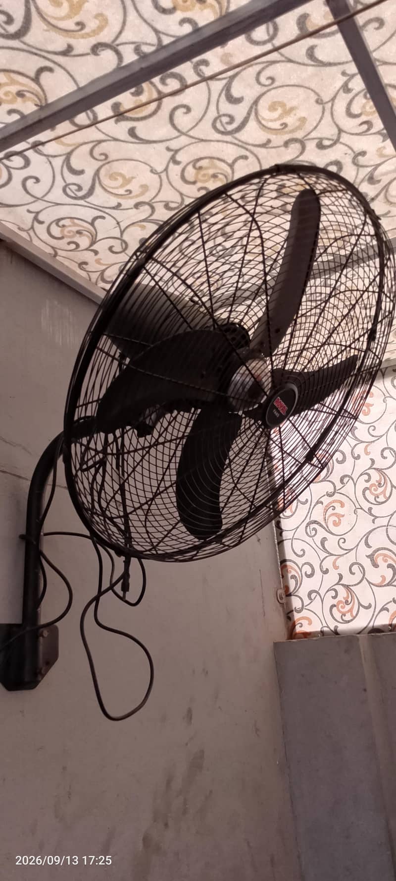 Royal bracket fan. 1