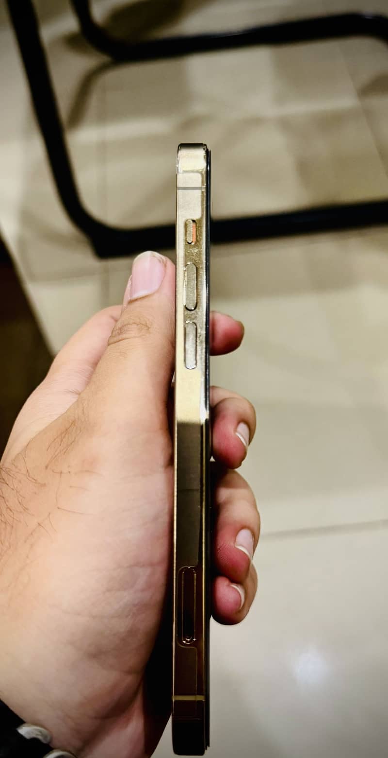 Apple iPhone 12 Pro 4