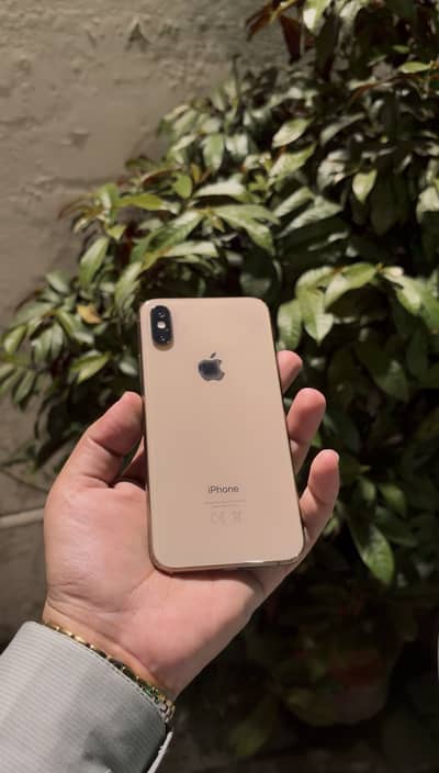Apple iPhone XS
